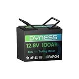 Dyness 12V 100Ah LiFePO4 Battery Mini TM, BCI Group 24, 12V 100Ah Lithium Battery with Low-Temp Protection Built-in 100A BMS, 12.8V Deep Cycles Battery, Perfect for Trolling Motor, RVs, Boat, Marine