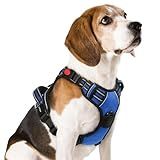 rabbitgoo Dog Harness Medium Sized, No Pull Pet Harness with 3 Buckles, Adjustable Soft Padded Vest with Control Handle, Walking Reflective Pet Vest for Medium Dogs, Blue, M