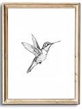 uniro Vintage Wall Art Prints Farmhouse Decor Hummingbird Sketch Canvas Oil Painting Black and White Bird Neutral Vintage Artwork Pictures for Bedroom Living Room Decor (8" x 10"-UNFRAMED)