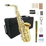 WUQIMUSC Alto Saxophone Beginner Kit for Adults, Student Saxophone Eb, Professional Brass Saxophones Instrument with Sax Case, Mouthpiece, Reeds, Gloves, Cleaning Cloth & Brush (Gold)