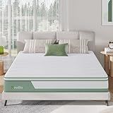 Novilla Mattress Queen, 12 Inch 5-Zone Hybrid Mattress with Gel Memory Foam for Pressure Relief & Cool Sleep, Midume Firm Queen Mattress in A Box, Green