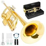 LeSage Bb Standard Trumpet Set for Beginner, Brass Student Trumpet Gold