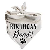 Birthday Dood Dog Bandanna pet Bandana Celebration Party paw-ty (Large)