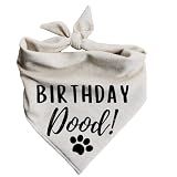 Birthday Dood Dog Bandanna pet Bandana Celebration Party paw-ty (Large)