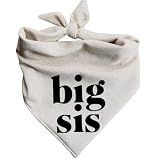 Big Sis Dog Bandana Big Sister Pregnancy Announcement Matching Baby Announcement Baby Shower Attire Gift (X-Small)