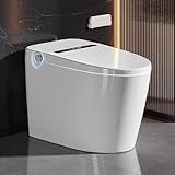 DeerValley Luxury Smart Toilet with Bidet Built in Bubble Wash, Auto Open/Close Lid Water Filter Instant Heated Seat Dryer, Soft-Close Modern Japanese One-Piece Toilet with Night Light for Bathrooms