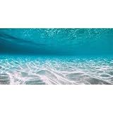 48x24 in Undersea Vinyl Aquarium Backdrop Ocean Floor Fish Tank Background