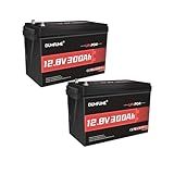 Dumfume 2 Packs 12V 300Ah Lithium LiFePO4 Battery,200A BMS 3840WH Rechargeable Lithium Iron Phosphate Battery 15000+ Deep Cycles for Solar Energy Storage,Backup Power,RV,Camping