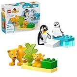LEGO DUPLO Town Wild Animal Families Penguins & Lions Building Toy Playset - Preschool Learning & Educational Animal Toy for Toddlers, Boys and Girls, Ages 2+ - Baby Gift Ideas - 10442