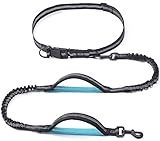 iYoShop Retractable Hands Free Dog Leash - Dual Handle Bungee Waist Leash for Small, Medium and Large Dogs (Medium/Large, 25-150 lbs, Black)
