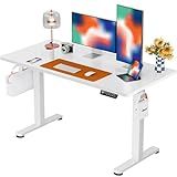 ErGear Height Adjustable Electric Standing Desk, 48 x 24 Inches Sit Stand up Desk, Memory Computer Home Office Desk with Two-Piece Desktop (White)