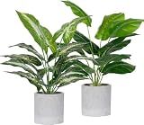 Der Rose 2 Pack 16" Indoor Fake Plants for Desk Shelf Bathroom Decor