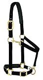 Weaver Equine Breakaway Horse Halter, Comfort Foam Padding, Adjustable Chin & Throat Snap Halters for Horses, Equine Tack,Average Size, Solid Black