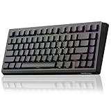 LEOBOG A80 RT Hall Effect Gaming Keyboard Wired, Rapid Trigger Magnetic Switch Keyboard with 0.01mm RT Adjustable Actuation, 8000Hz Polling Rate, RGB Backlit Mechanical Keyboard 75% for PC Gamer