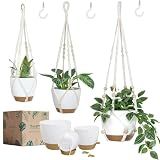 Bouqlife 3 Set Self Watering Hanging Planters for Indoor Plants