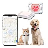 GPS Tracker for Dogs & Cats - No Monthly Fee, Waterproof Real-Time Tracking Collar for Pets,Kids,Luggage & Assets | 365-Day Battery Life | iOS & Android Compatible | Anti-Lost Device