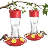 Kingsyard 2-Pack Glass Hummingbird Feeder for Outdoors Hanging, 10 oz Leak-Proof Humming Bird Feeders with Ant Moat & Bee Proof Feeding Ports, Hummingbird Gift for Bird Lovers (Clear)