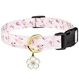 Cotton Dog Collar White Flower with Pendant Cute Dog Collar S