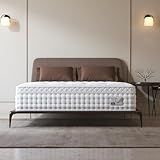BedStory Queen Mattress, 12 Inch Deep Sleep Firm Mattress Extra Lumbar & Shoulder Support, Hotel Collection Hybrid Mattresses - Fiberglass Free - No Odor - 365 Night Trial - Forever Warranty