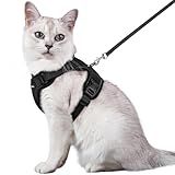rabbitgoo Cat Harness and Leash for Walking, Escape Proof Soft Adjustable Vest Harnesses for Cats, Easy Control Breathable Reflective Strips Jacket, Black, M