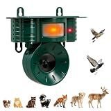 Ultrasonic Bird Deterrents for Outside, Squirrel & Pigeon & Woodpecker Repellent, Solar Powered, IP 65 Waterproof, Motion Sensor, Bird Repellent Devices Outdoor for Patio Farm Yard Orchard, 1 Pack