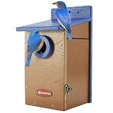 Kingyard Bluebird House, Outdoor Bird House with Predator Guard