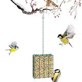 Bird Feeder for Outdoors, Suet Feeder for Outside Hanging Suet Basket Cage