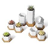 T4U Small Succulent Pots 12 Pack, Mini Flower Planters with Drainage White