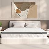 MOLBIUS Queen Mattress 12 Inch | Hybrid Mattresses Queen Size in a Box | Medium Firm Memory Foam and Individual Pocket Springs | Fiberglass Free Bed Mattres | Breathable | CertiPUR-US