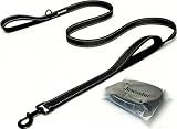 Heavy Duty Dog Leash - 2 Handles by Padded Traffic Handle for Extra Control, 6foot Long - Perfect for Medium to Large Dogs (6 ft, Black)