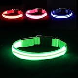 Neon LED Light Up Dog Collar for Night Walking, Rechargeable Safety Glow Illuminated Collar with 3 Modes Flashing, Reflective Adjustable Pet Light for Small/Medium Dogs Puppy 15-19" Neck (Green)