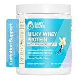 Baby Blues Milky Whey Lactation Protein Powder for Breastfeeding and Nursing Moms, 26g Whey Isolate, Pregnancy and Postpartum Protein for Women, Fenugreek Free with Sunflower Lecithin, Vanilla