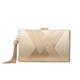 YAPAIOU Clutch Purses For Women Tassel Evening Clutch bag Crossbody & Shoulder Bag For Wedding Night out Party Champagne Gold
