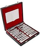 SWAN Harmonica Set 12 Keys 10 Hole 20 Tones Harmonica Blues Mini Harmonica for Adult, Professional Player,Beginner,Students with Case Bag (Silver 12 key A B C D E F G Ab Bb Db Eb Gb)