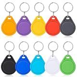 Beeveer Nfc Tags Keytags,Nfc Key Keychain,Multicolor,10 Pcs