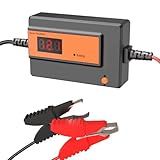 Battery Desulfator, Automatic Pulse Lead-Acid Battery Reconditioner for Life Extension and Repair (PL04C-400AH Orange)