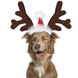 BWOGUE Dog Elk Reindeer Antler Headband, Pet Christmas Costume Headwear