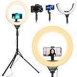 UBeesize 14'' LED Foldable Ring Light with 62'' Tripod Stand, Selfie Ring Light for Video Recording, Live Streaming, TikTok & YouTube, Compatible with iPhone & Android (Black)