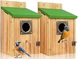 2 Pack Bird Houses for Outside- Cedar Bird House with Metal Predator Guard