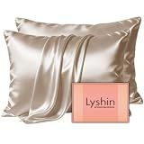 LYSHIN Silk Pillow Cases 2 Pack Standard Size with Zipper, Champagne