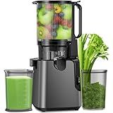Juicer Machines with 5.8" Large Feed Chute, Cold Press Juicer For Whole Vegetables and Fruits, 400W Professional Slow Masticating juicer Easy to Clean for Batch Juicing (Titanium Gray)