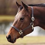 Country Pride Fairfield Triple Stitched Leather Halter for Horses, Durable One-Inch Leather with Brass-Plated Hardware, Adjustable Crown and Nose, Throat Snap for Easy On and Off (Horse)