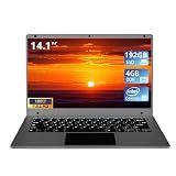 14.1 inch Laptop Computer,Celeron N3450,4GB RAM and 192GB SSD,Windows 11 Laptop Computers with FHD 1920 * 1080 IPS Display Notebook PC,Slim and Lightweight Notebook,Work and Students laptops,Gray, WPS