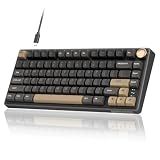 RK ROYAL KLUDGE R75 Wired Mechanical Keyboard with Volume Knob, 75% Mechanical Gaming Keyboard Gasket Mount, Hot Swappable Silver Switch, MDA Profile PBT Keycaps, Creamy Keyboards, Black