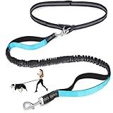 Laqibak Hands Free Dog Leash, Adjustable Waist Leash for Dog, Handle Bungee 4.2-6.7 Feet Long with Reflective Stitches for Walking Hiking Running, Fits 26"- 43" Waist, Black & Blue