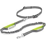 Tuff Mutt Hands Free Dog Leash for Walking Running Hiking, Waist Leash with Bungee, Adjustable Belt, Reflective Double Handle Design for Large Medium Dogs
