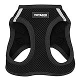 Voyager Step-In Air Dog Harness - All Weather Mesh, Reflective, No Pull Harness for Small, Medium Dogs, Cats - Secure with Hook & Loop Fastener, Buckle, Double D-Rings - Black/Black Trim, S