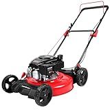 PowerSmart 21 in. Gas Lawn Mower with 144cc OHV Engine, 2-in-1 Push Mower with Mulching & Side-Discharge