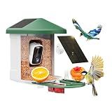 HARYMOR Smart Bird Feeder with Camera - AI Identify Birds Species, Solar Powered Bird House with Cam, 2L Large Capacity, 2K HD Video Live Stream, Instant Arrival Alerts - Green