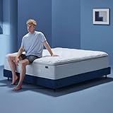 INCEPDREAM 14 Inch Queen Size Luxury Hybrid Mattress with Pillow Top, Latex and Memory Foam, Cooling Tencel Fabric, Dual-Layer Pocket Coils for Pressure Relief and Support, CertiPUR-US Certified